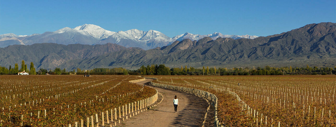 A woman walking down a road through a Mendoza vineyard overlooked by mountains and hills.