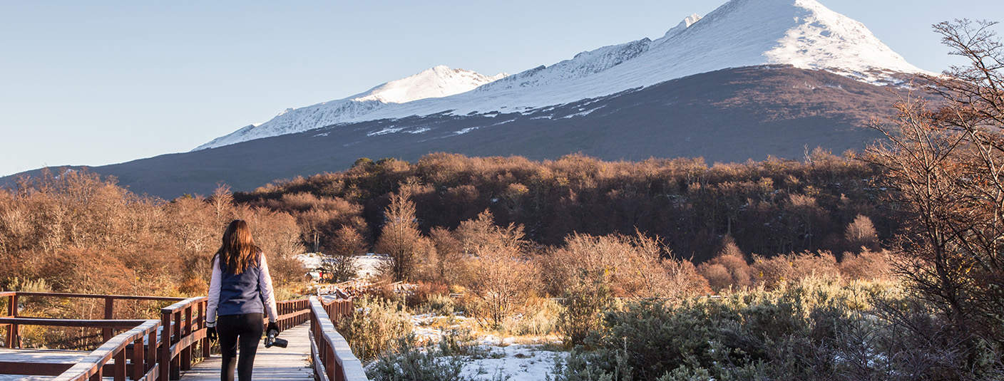 SA visitor with a camera walking along a wooden walkway at Tierra del Fuego National Park.