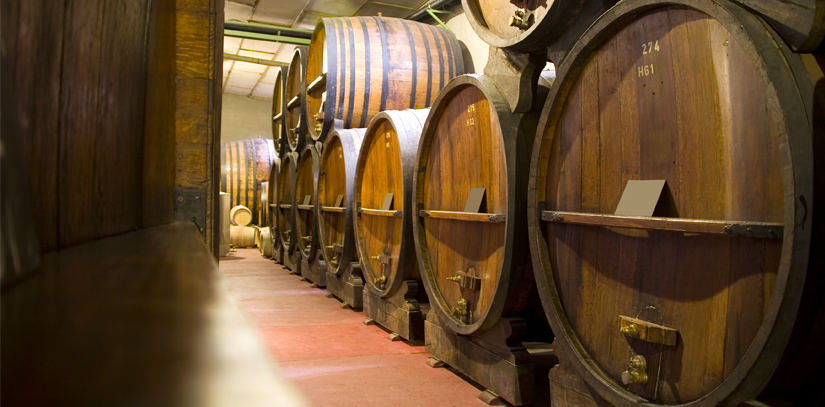 A row of wine barrels lined up in Mendoza, Argentina