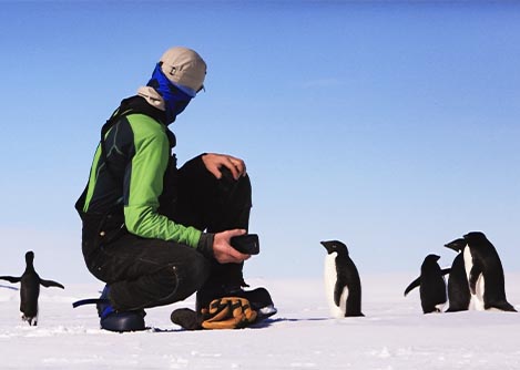 A visitor standing on the ice in Antarctica, holding a phone and observing a group of penguins.