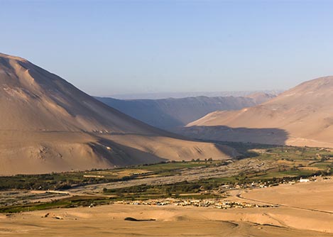 The Azapa Valley, a fertile oasis located between two hills just a few miles east of Arica.