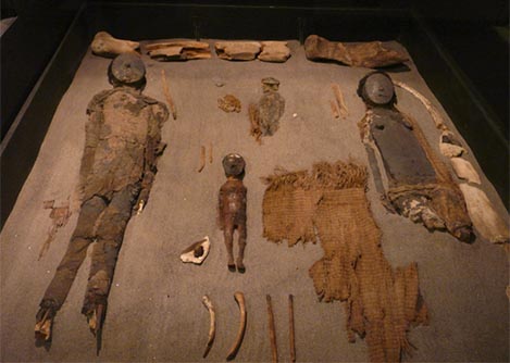Mummies and various ancient artifacts on display at the Archeology Museum of San Miguel de Azapa.