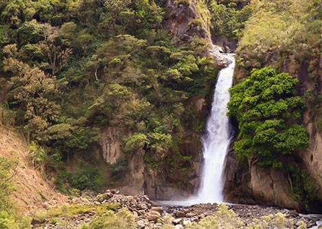 A waterfall surrounded by lush jungle vegetation near the city of Baños in Ecuador.
