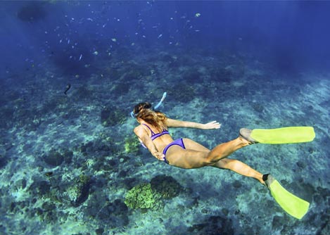 A woman in a swimsuit and snorkel gear swimming near a school of fish in the waters off of Buzios.