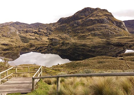 An observation platform in Cajas National Park looking out at a lake surrounded by mountains.