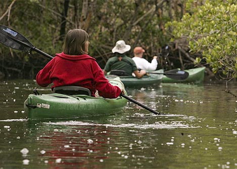 Three visitors on kayaks navigating a river surrounded by vegetation in the Ecuadorian Amazon.