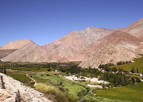 A landscape of lush green fields surrounded by pink and orange mountains in the Elqui Valley.