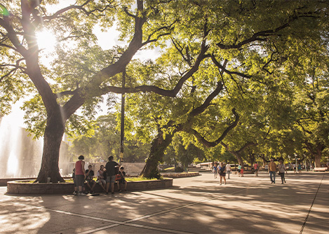 Visitors walking underneath some enormous trees while enjoying a day at the park in Mendoza.