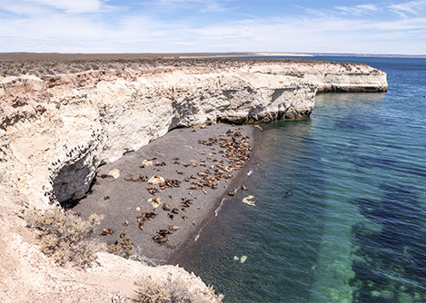 Dozens of sea lions sunbathing on a sheltered beach on the Valdes Peninsula near Puerto Madryn.