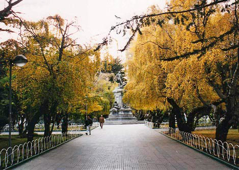 A monument and a wide pathway surrounded by trees at the Main Square of Punta Arenas.